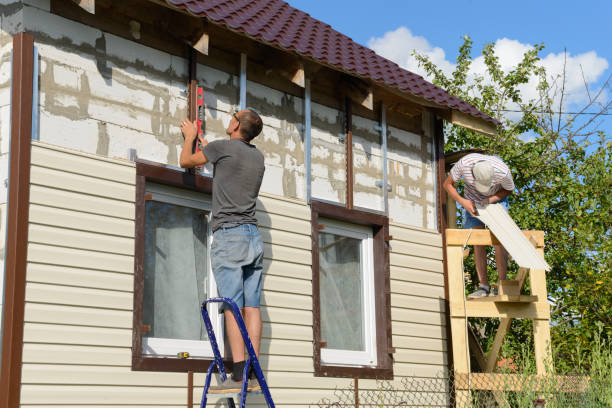 Best Custom Siding Design  in Wayland, IA
